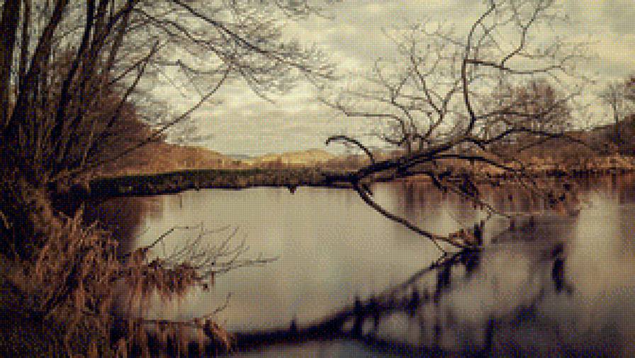 Дерево над озером - дерево, озеро, отражение - предпросмотр