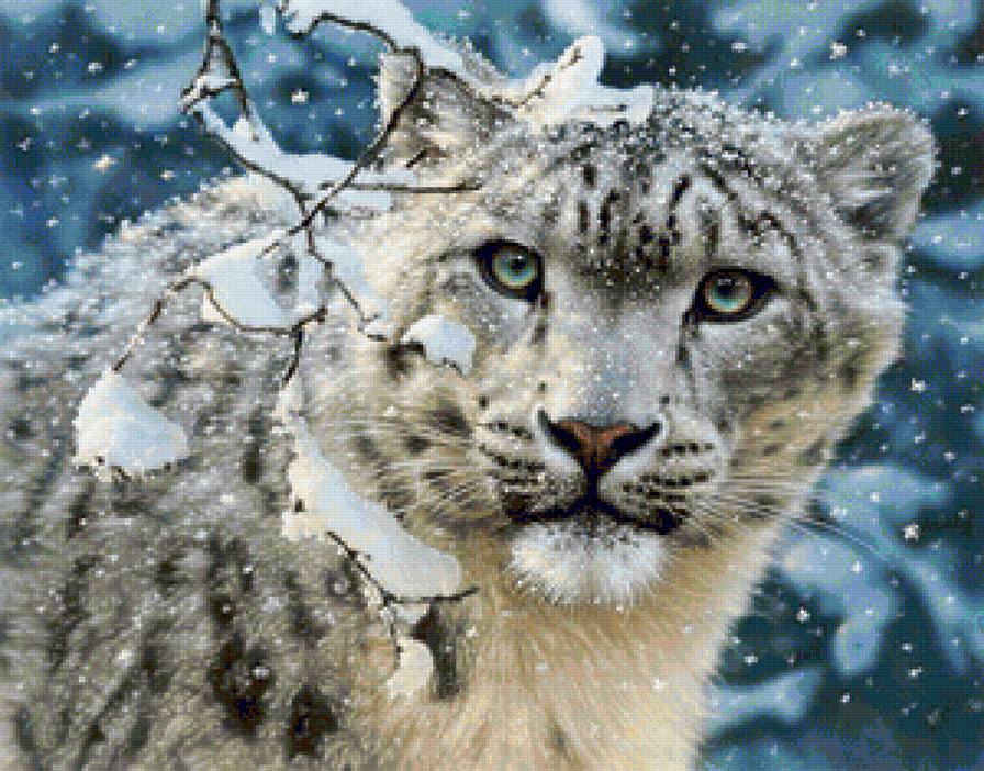 Взгляд хищника - зимний пейзаж, снег, животные, зима, ирбис, кошки, снежный барс, глаза - предпросмотр