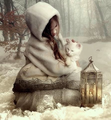 девочка и белая кошка - оригинал