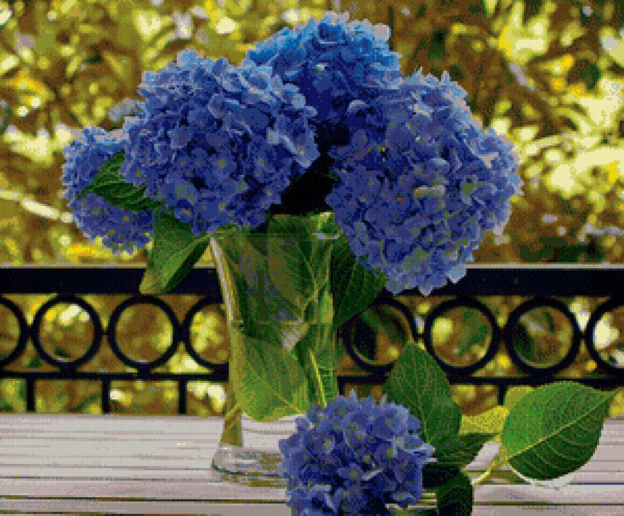 Синяя гортензия - цветы - предпросмотр