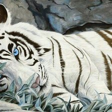 Оригинал схемы вышивки «белый тигр» (№1194942)