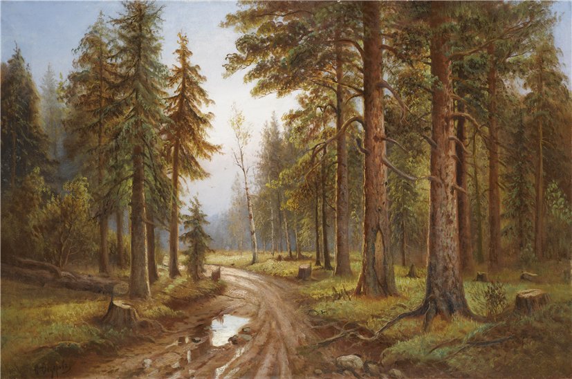 лесная дорога - лес, пейзаж, природа - оригинал