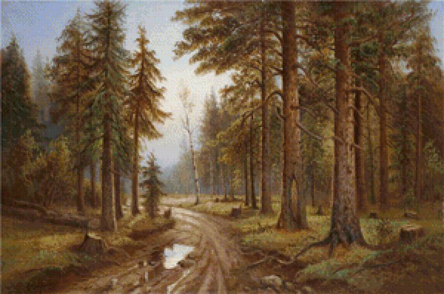 лесная дорога - природа, лес, пейзаж - предпросмотр