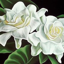 Оригинал схемы вышивки «Белые цветы» (№1197079)