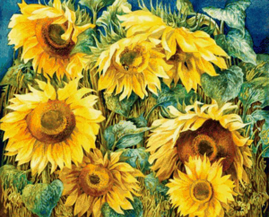 Подсолнушки - букет, лето, цветы, пейзаж, подушка, солнце, желтые цветы, подсолнухи - предпросмотр