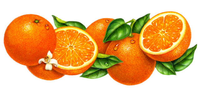 Апельсины - панно, цитрусовые, апельсины, натюрморт, для кухни, панель, фрукты - оригинал