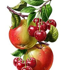 Оригинал схемы вышивки «яблоки с вишней» (№1199281)