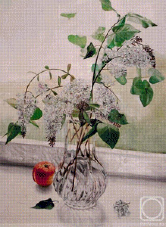 ветка белой сирени на окне - яблоки, цветы, натюрморт - предпросмотр