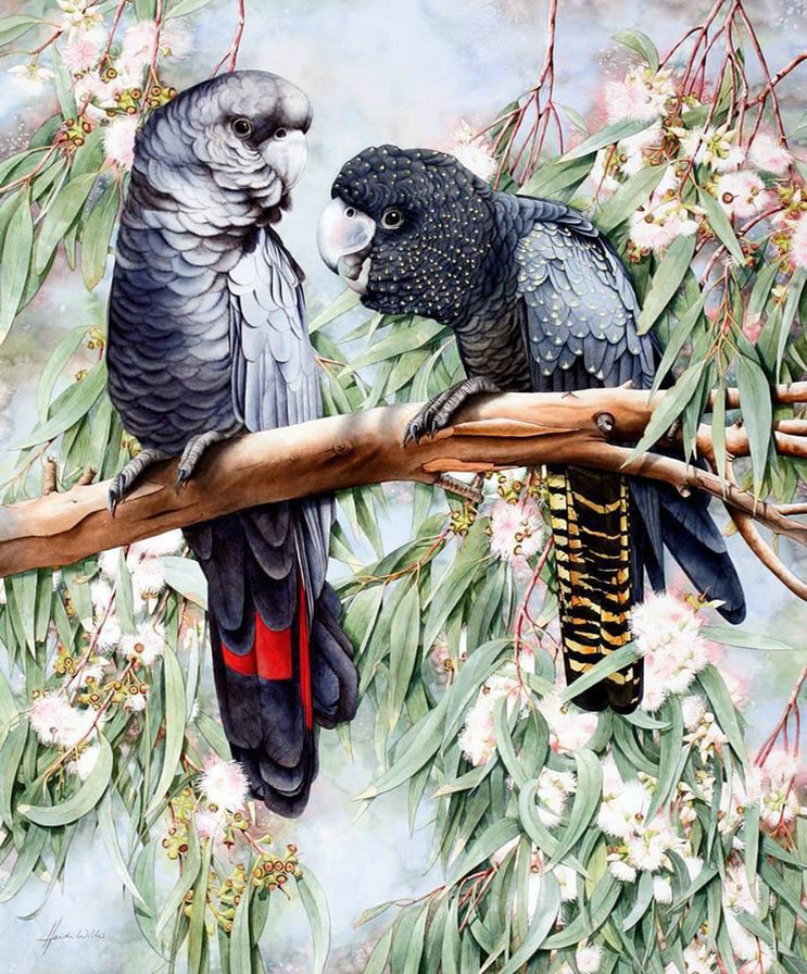 попугаи - птицы, природа - оригинал