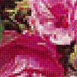 Предпросмотр схемы вышивки «яркие розы» (№1199475)