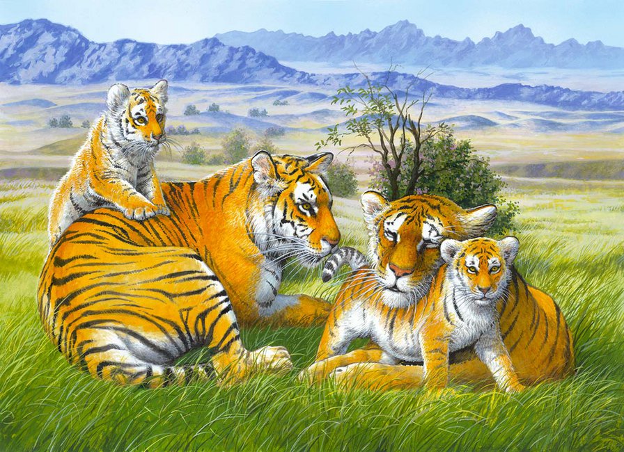 семейство тигров - тигры. хищники - оригинал
