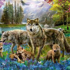 Волки дружная семья