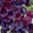 Предпросмотр схемы вышивки «виноград» (№1202314)