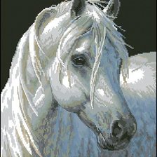 Оригинал схемы вышивки «Породистая лошадь» (№1202565)