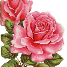 Оригинал схемы вышивки «винтажные розы» (№1202617)