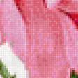 Предпросмотр схемы вышивки «роза» (№1202630)