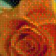 Предпросмотр схемы вышивки «розы в желто-зеленых тонах» (№1202839)