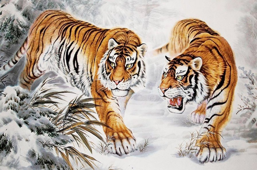 Тигры - тигры, дикие кошки - оригинал
