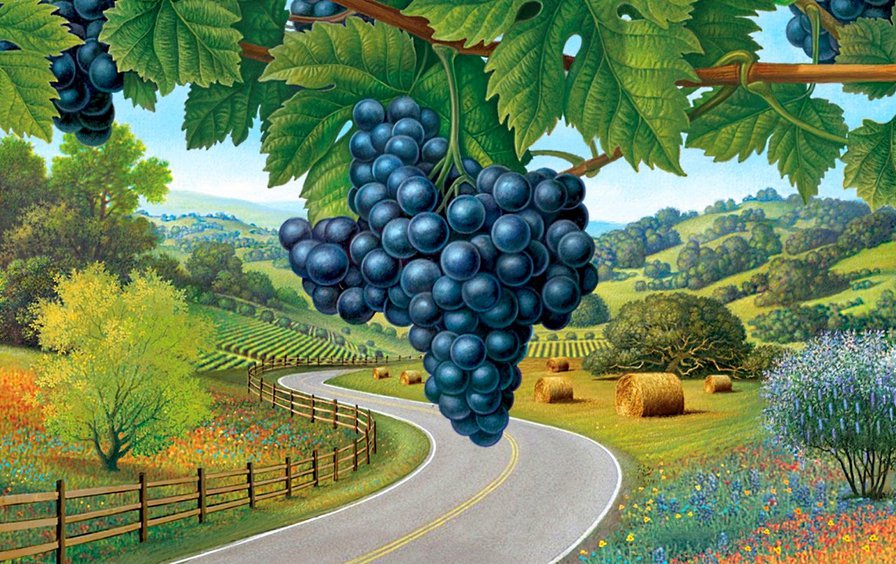 виноградная гроздь - ягоды, виноград, лето, осень, пейзаж - оригинал