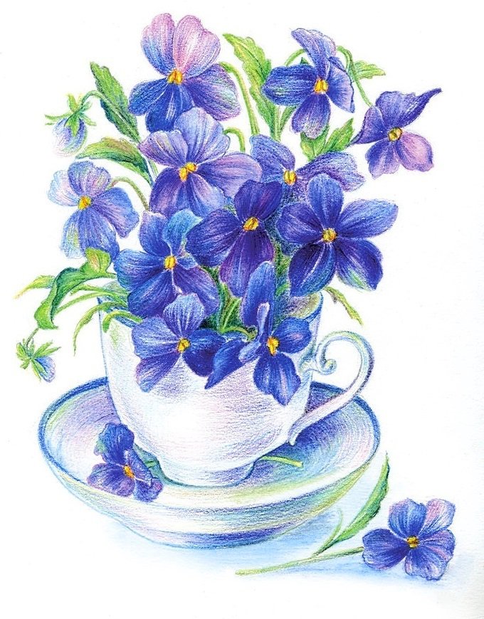 нежные цветы - фиалки, букет, голубые цветы, синие цветы - оригинал