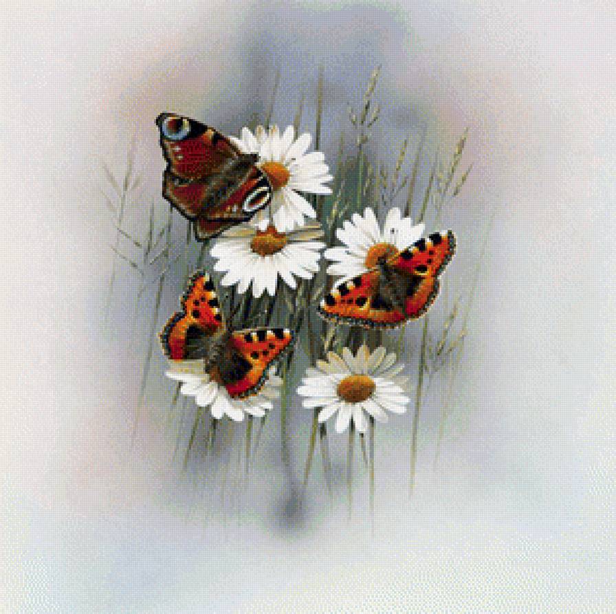 Бабочки - художники, насекомые - предпросмотр