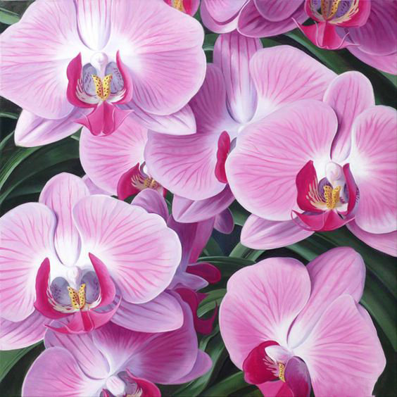 Орхидеи - орхидеи, панно, фаленопсис, подушка, розовые цветы, букет, цветы - оригинал