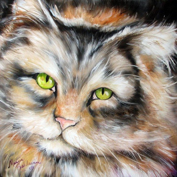 кошка - картины, кот, домашние животные, живопись, кошка - оригинал