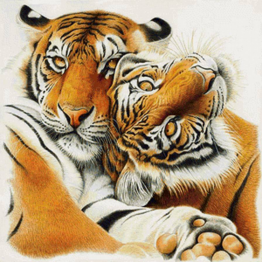 Love - животные, дикие кошки, тигр - предпросмотр