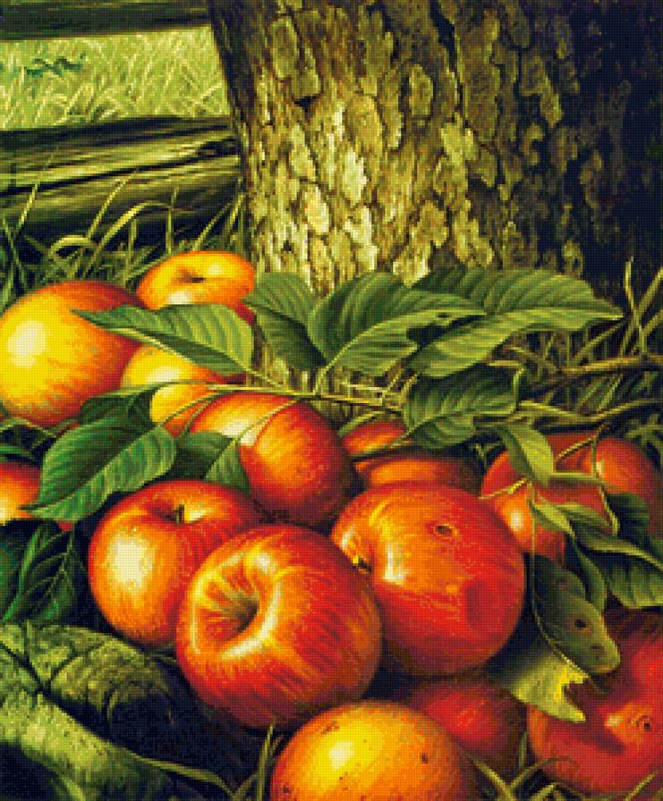 Яблочки под деревом - яблоки, фрукты, дерево, сад, летний пейзаж, богатый урожай, трава - предпросмотр