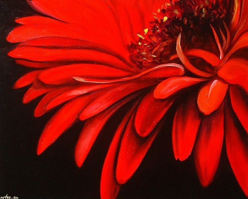 красный цветок - весна, картины, живопись, лето, природа, цветы - оригинал