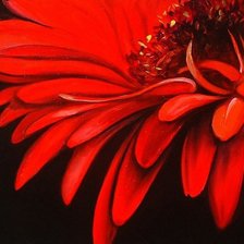 Оригинал схемы вышивки «красный цветок» (№1212691)