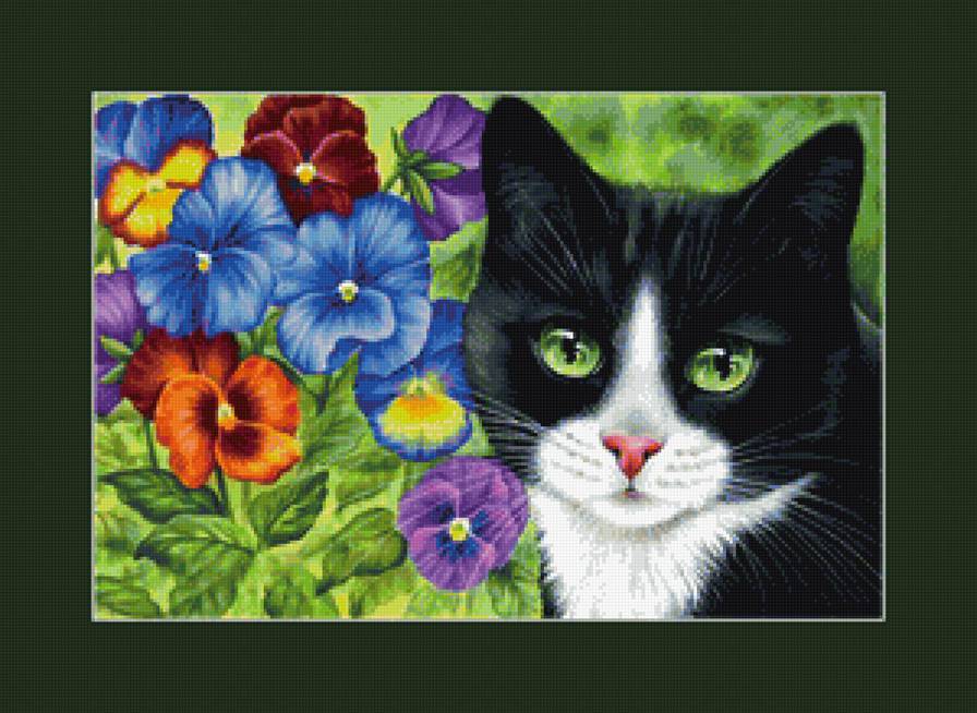 Котик и анютины глазки - цветы, кошки, домашний питомец, анютины глазки, кот, домашний любимец - предпросмотр