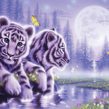 Схема вышивки «белые тигрята»
