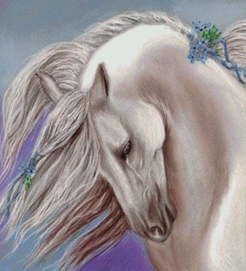 Белая лошадь - животные - предпросмотр