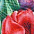 Предпросмотр схемы вышивки «котики в тюльпанах» (№1214239)