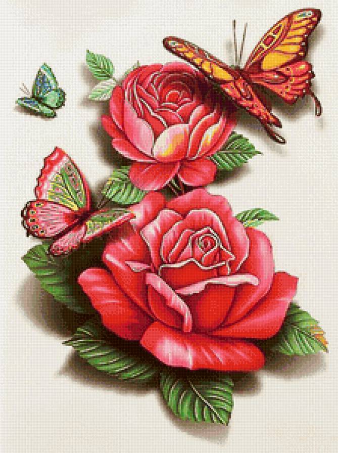 бабочки и цветы - розовые цветы, букет, пара, бабочки, роза, красные цветы, бабочка, розы - предпросмотр
