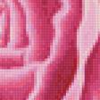 Предпросмотр схемы вышивки «Розы» (№1216051)