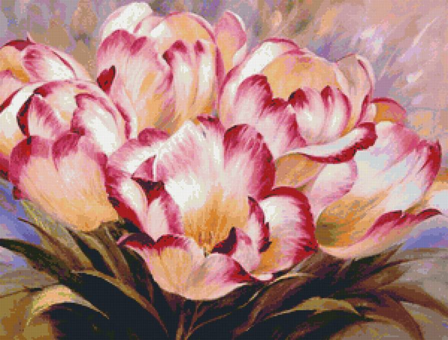 тюльпаны - флора, букет, натюрморт, тюльпаны, цветы - предпросмотр