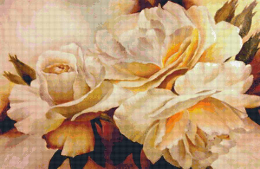 Белые розы - букет, розы, цветы - предпросмотр