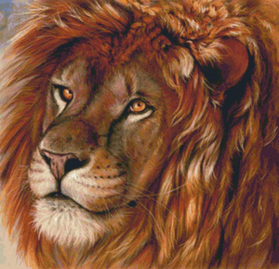 Царь зверей - животные, лев, дикие кошки - предпросмотр