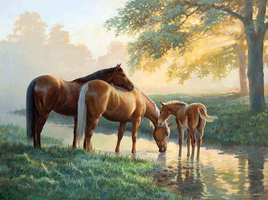лошади на водопое - семья, водопой, лошади - оригинал