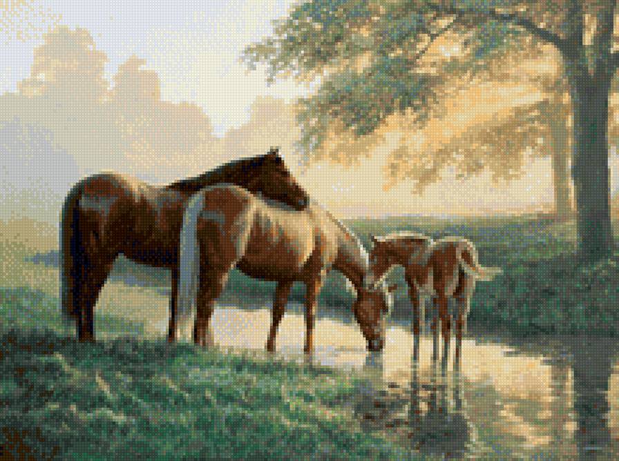лошади на водопое - семья, лошади, водопой - предпросмотр