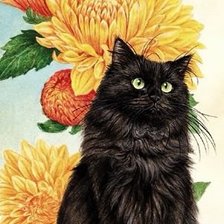 Оригинал схемы вышивки «черная кошка» (№1221928)