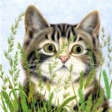 Оригинал схемы вышивки «котенок в траве» (№1221956)
