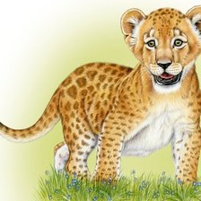 Оригинал схемы вышивки «Малыш леопарда» (№1223161)