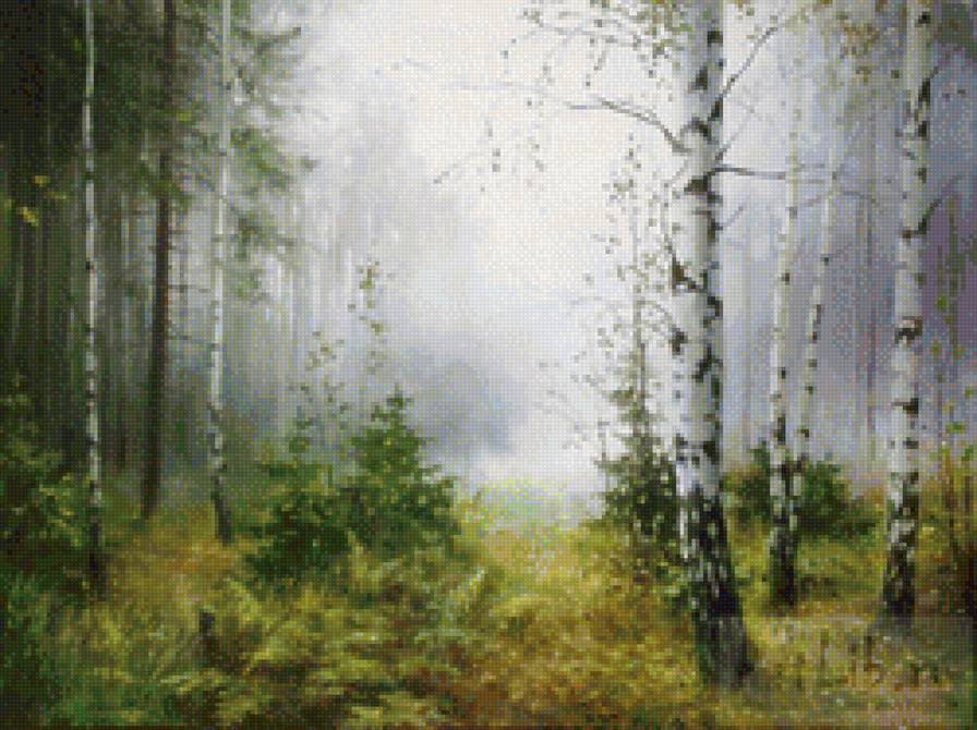 Туман - лес, туман, березы - предпросмотр