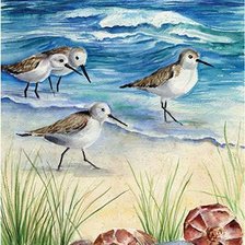 Оригинал схемы вышивки «чайки...море и песок» (№1224217)
