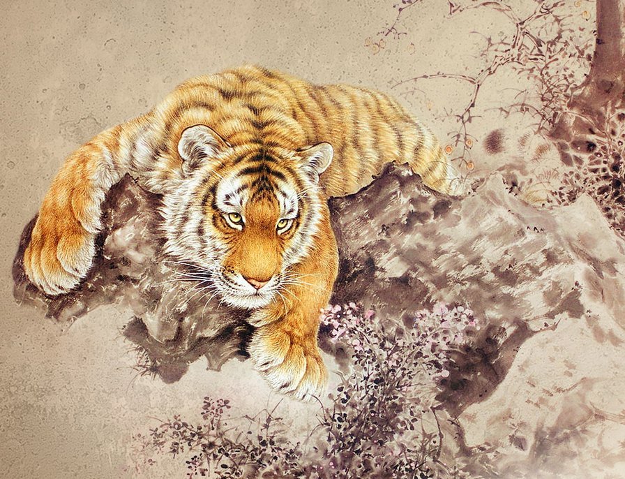 Тигр - анималисты, животные, природа, дикие хищные кошки, тигр, тигры - оригинал
