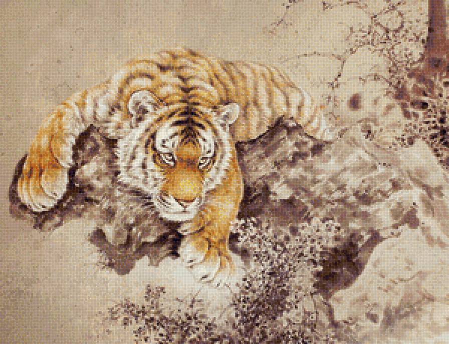 Тигр - дикие хищные кошки, тигры, анималисты, природа, животные, тигр - предпросмотр