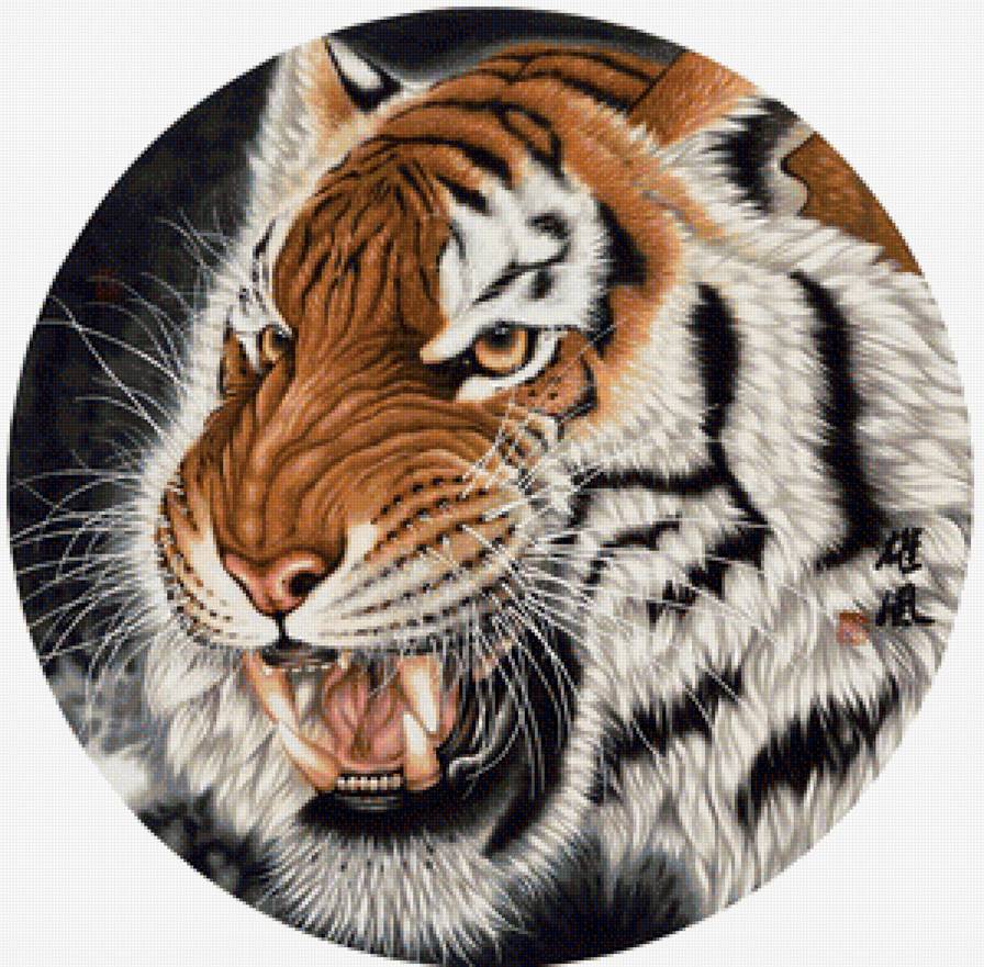 Тигр - дикие кошки, животные - предпросмотр